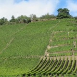 1109F 064 Trier-Paderborn